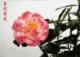Flower Gardening